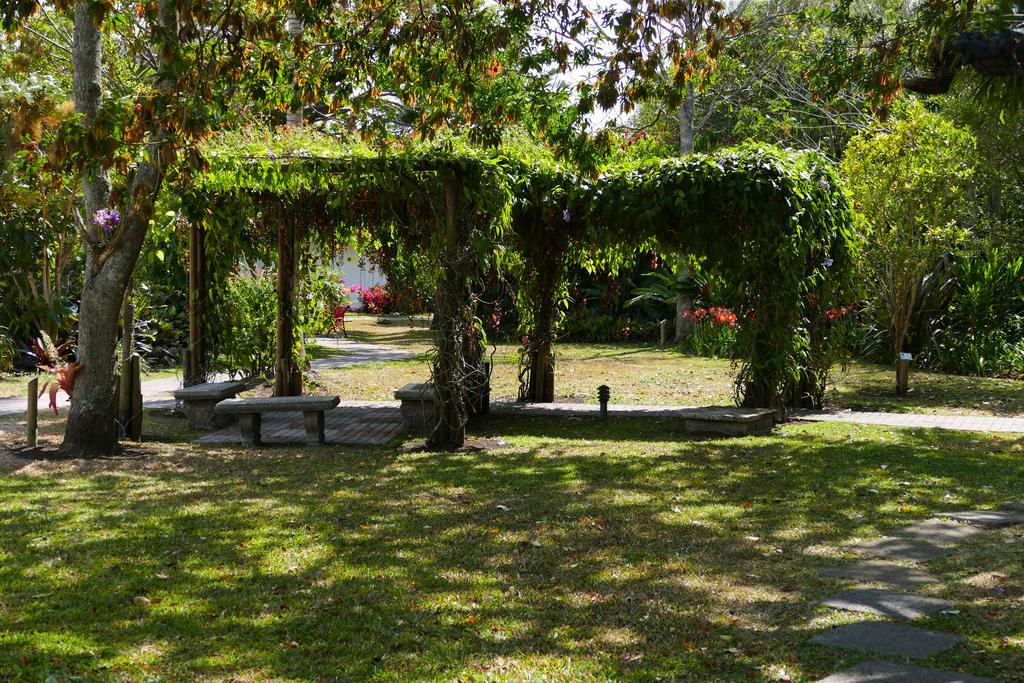 Hotel Bougainvillea San Jose Santo Domingo De Heredia Bagian luar foto